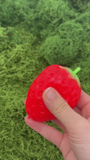 Strawberry Crunchy Squishy